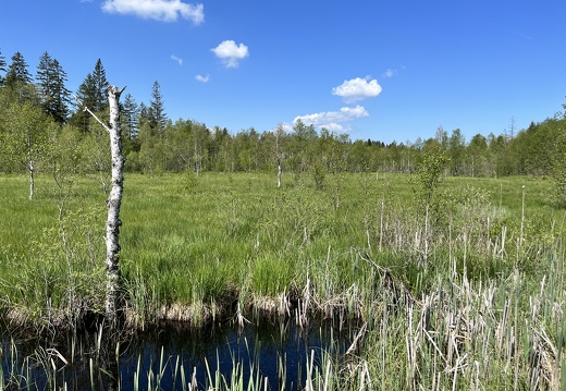 23-05-27 11-23-00 5724